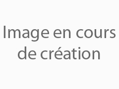 Détails : doudi site de rencontres pour femmes et hommes célibataires